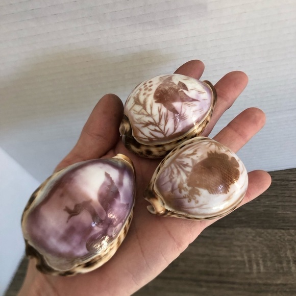 Vtg Hand Carved Cowrie Seashells with Intricate Designs - Picture 9 of 12